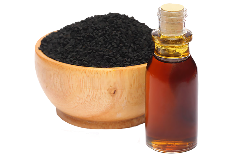 Babchi Ayurvedic Ingredients Uses &amp; Benefits Forest
