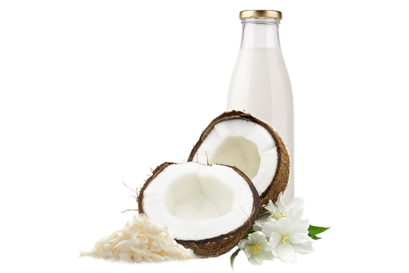 Coconut Milk - Ayurvedic Ingredients Uses & Benefits | Forest