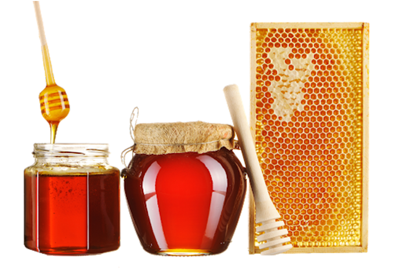 Honey - Ayurvedic Ingredients Uses & Benefits | Forest Essentials