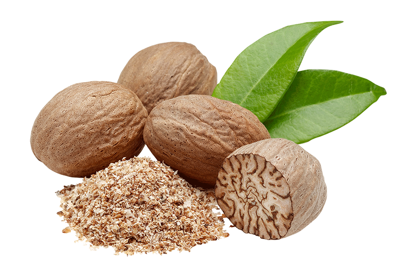 Jadhikai (Nutmeg) - Ayurvedic Ingredients Uses & Benefits | Forest