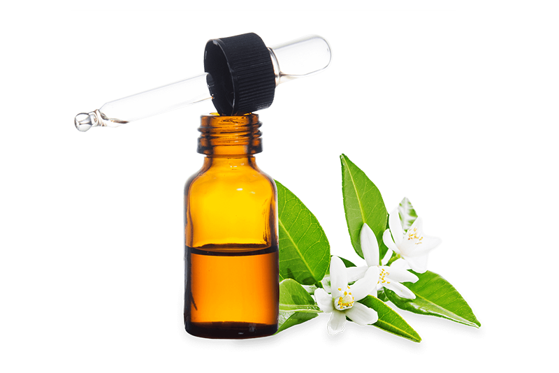Neroli - Ayurvedic Ingredients Uses & Benefits | Forest Essentials ...